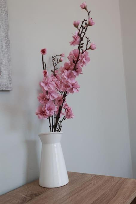 Beautiful In Apartment Plomari