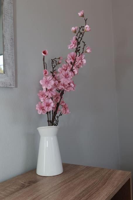 Apartment Beautiful In Plomari